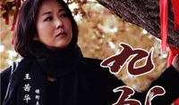 九九电视剧演员表,实力派演员阵容，演绎感人至深的情感纠葛